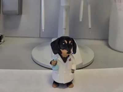 Scientist Dachshund