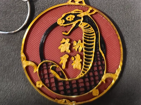 https://makerworld.bblmw.com/makerworld/model/US93cdececcd59ea/design/2025-01-21_3768c30b24328.jpg