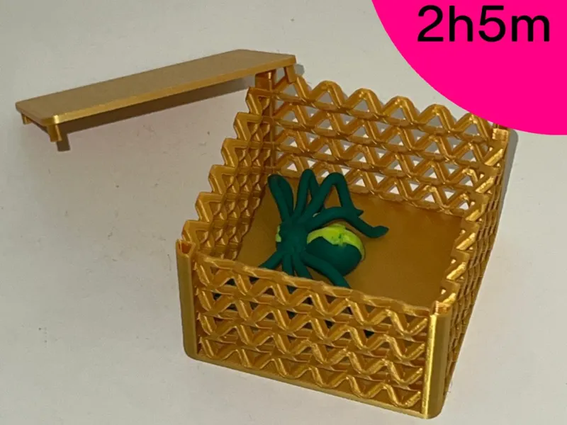 Box / Käfig / Cage 