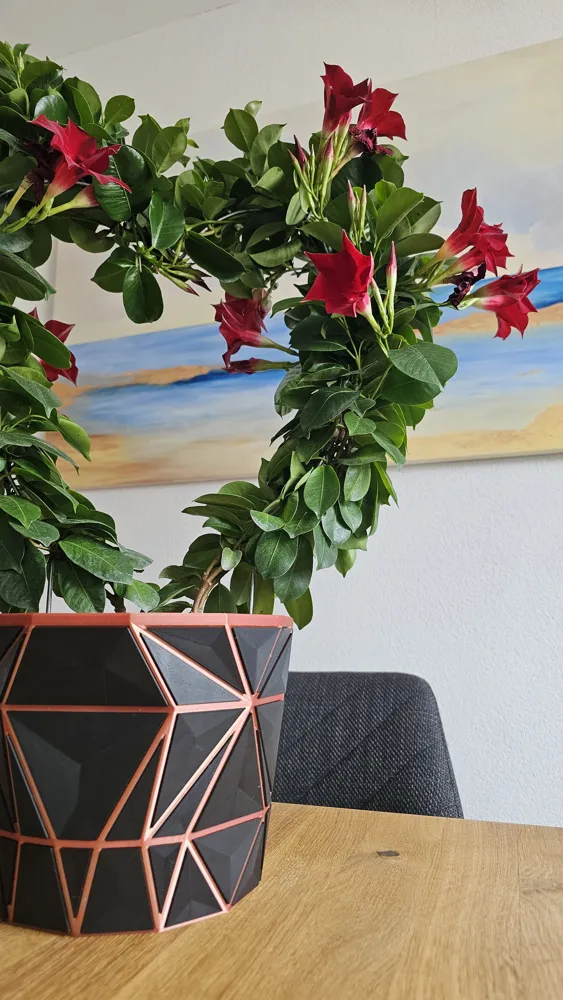 Modern Geometric Flower Pot / Planter - Free 3D Print Model - MakerWorld