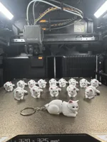 NO AMS 0.2mm layer, 2 walls, 15% infill