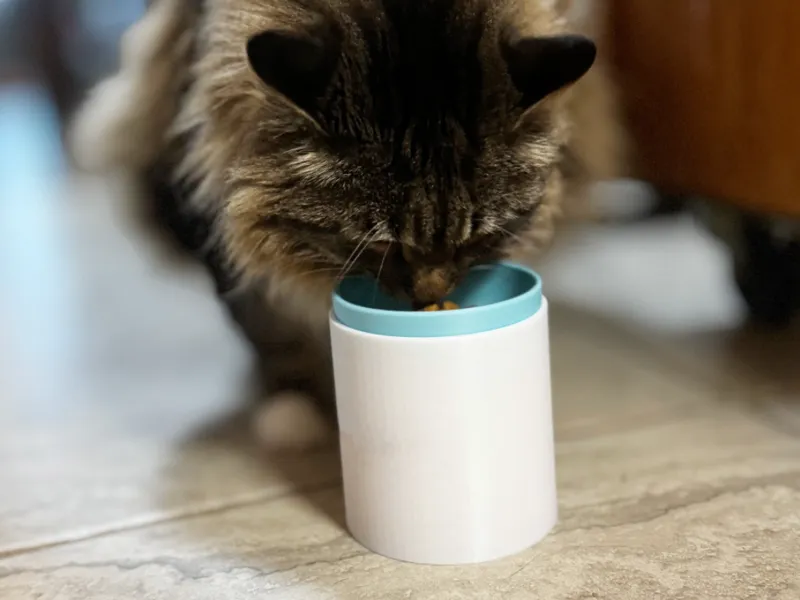 Corcelain Elevated Pet Bowl Stand - Ant Proof