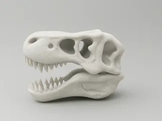 T-Rex Skull