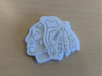 Logo Chicago Blackhawks — photo 2