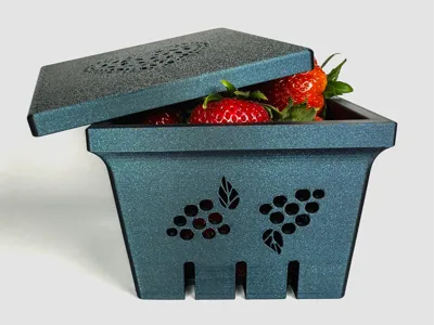 Berry Box with Lid and Strainer Holes