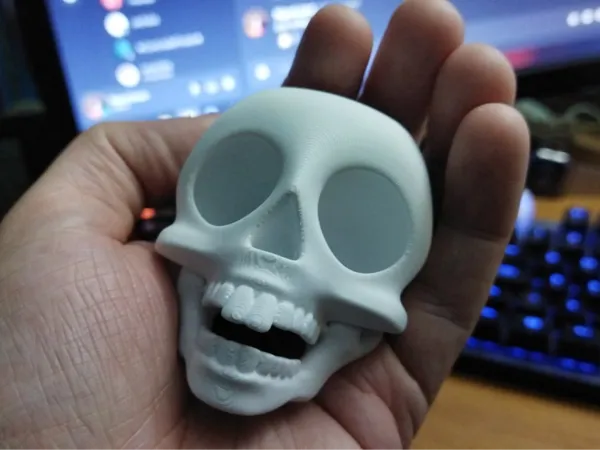 https://makerworld.bblmw.com/makerworld/model/US93e3fbc0cab250/design/2025-09-08_c396bb61253e98.jpeg