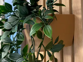 Halter Pflanztopf Akustikpaneele - IKEA FEJKA