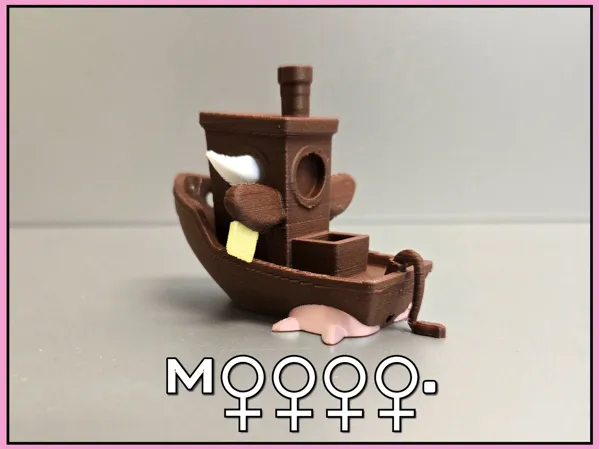 https://makerworld.bblmw.com/makerworld/model/US93eded0b58a402/design/2025-04-18_d37f02346bf508.jpg
