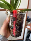 0.2mm layer, 3 walls, 15% infill
