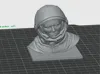0.08mm layer, 2 walls, 15% infill