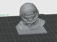 0.08mm layer, 2 walls, 15% infill