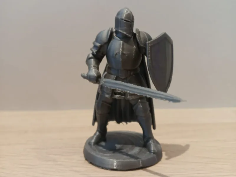 Oathbound Paladin – Guardian of the Realm