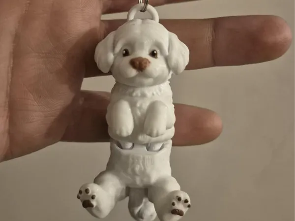 https://makerworld.bblmw.com/makerworld/model/US93f87b7915aa4b/design/2025-08-09_6eecefb12dd42.jpg