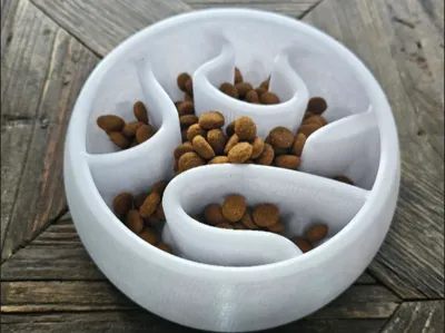 Slow Dog Feeder 