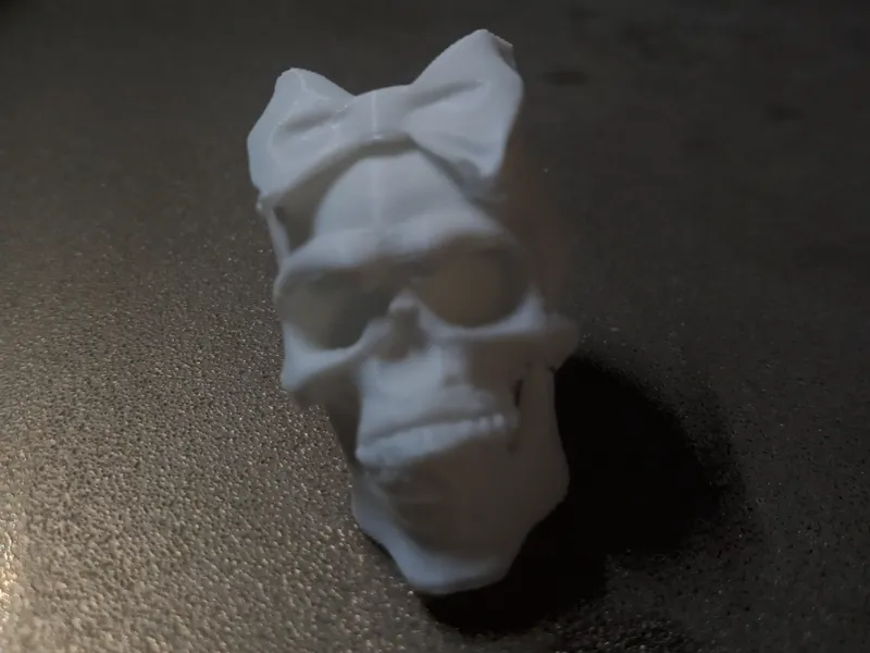 Pirate girl skull