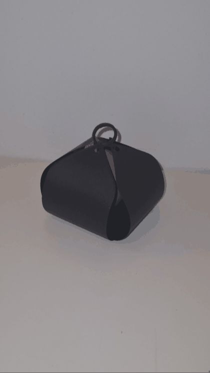 carries egg