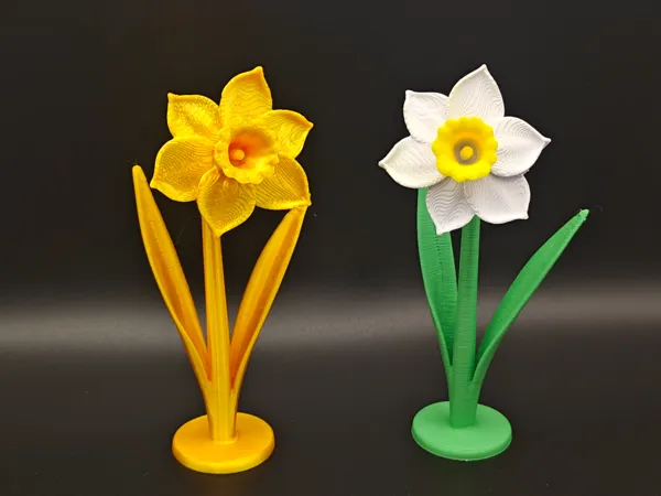 https://makerworld.bblmw.com/makerworld/model/US9407ffd19ece7/design/2025-06-02_995e79faac5a6.jpg