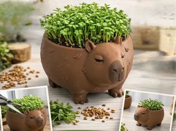 https://makerworld.bblmw.com/makerworld/model/US940b4f82a3e9cd/design/fc35409c3f11bda3.jpg