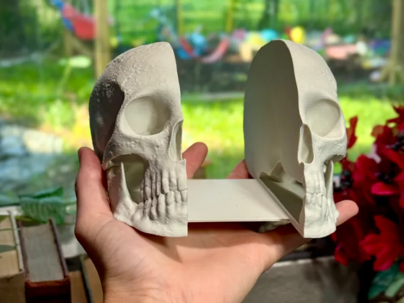 Skull bookends