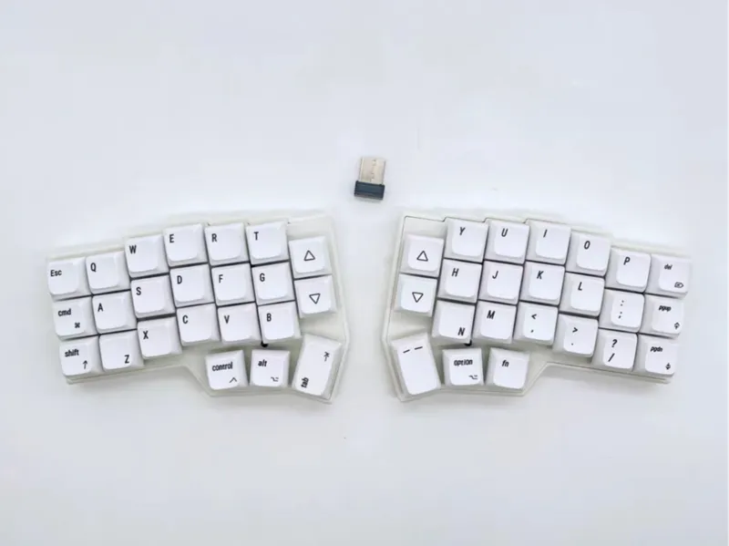 PandaKB W Corne MX keyboard case