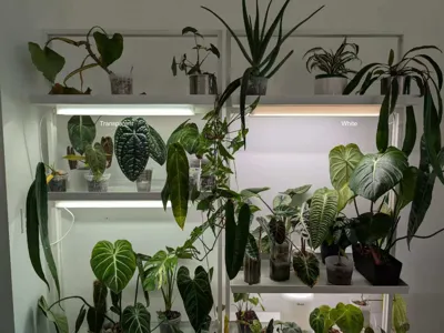 Barrina LED Grow Light Magnet Cover