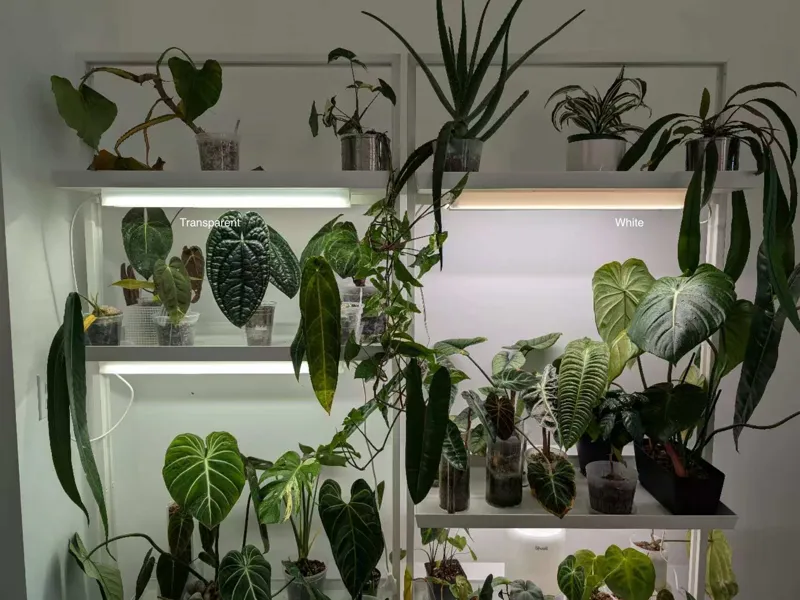 Barrina LED Grow Light Magnet Cover