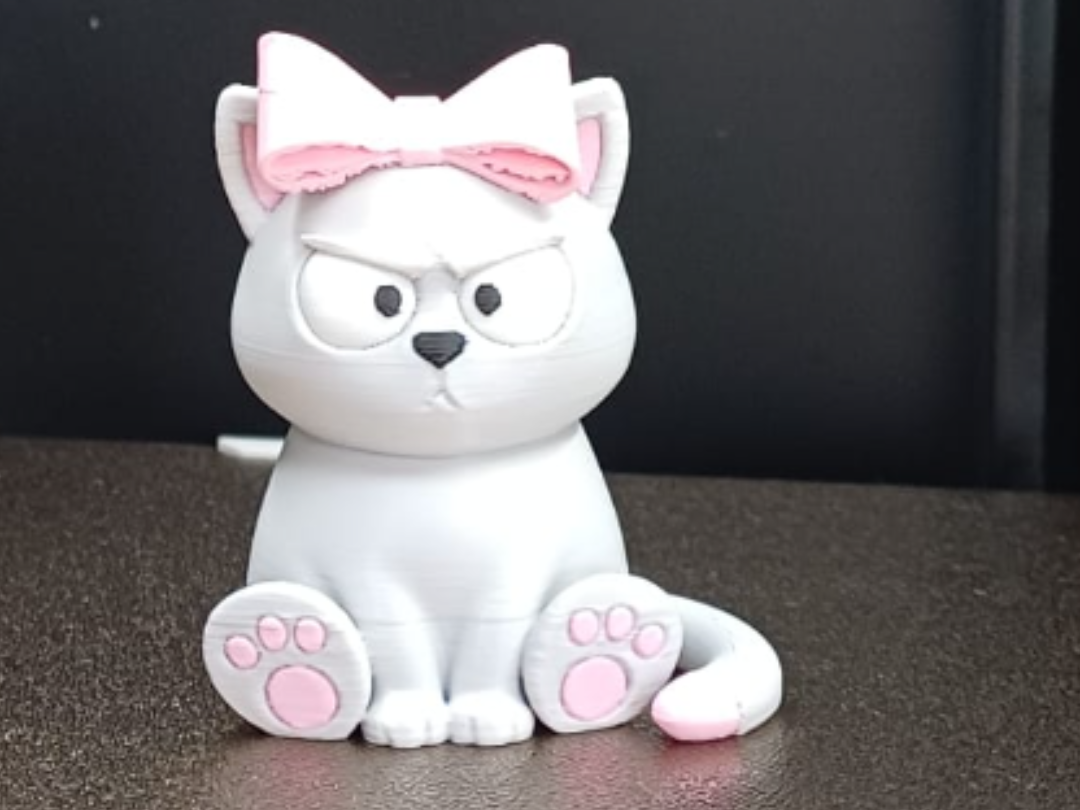 Cute Angry Cat