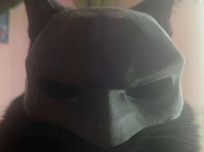 bat cat at 85%