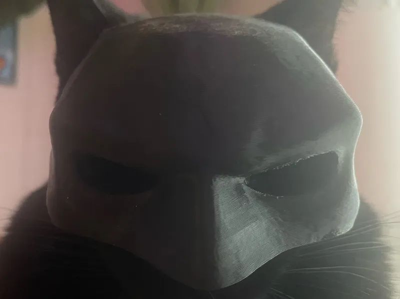 bat cat at 85%