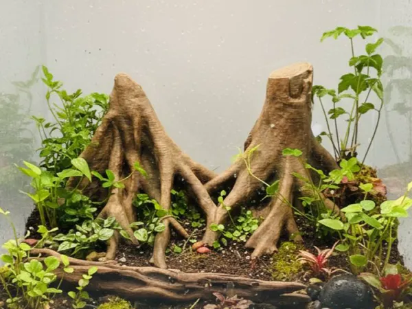 https://makerworld.bblmw.com/makerworld/model/US9413e635765da7/design/2596fff1541eea48.jpg