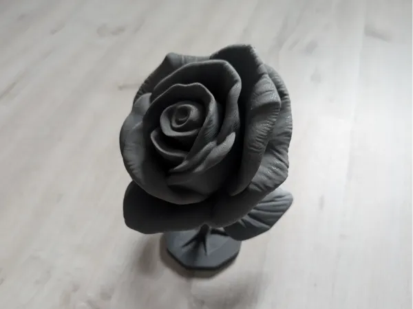 https://makerworld.bblmw.com/makerworld/model/US9417e0aef0287d/design/8732f7545d2dc510.jpg
