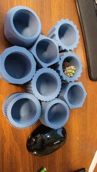 Pots pour plantes succulentes — photo 3