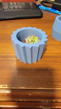 Pots pour plantes succulentes — photo 6