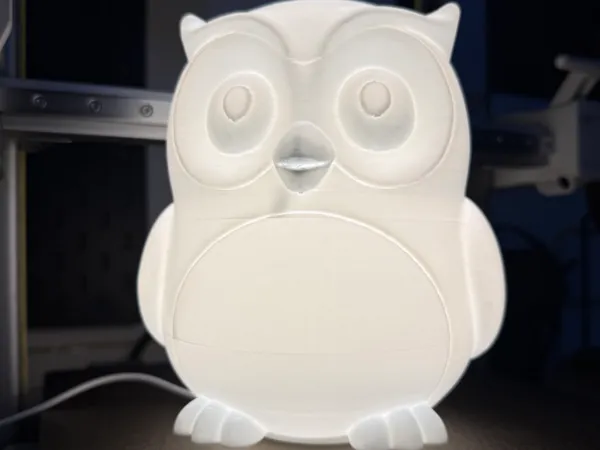 https://makerworld.bblmw.com/makerworld/model/US941bd0b0b80b22/design/2025-12-28_342954af2d149.jpg