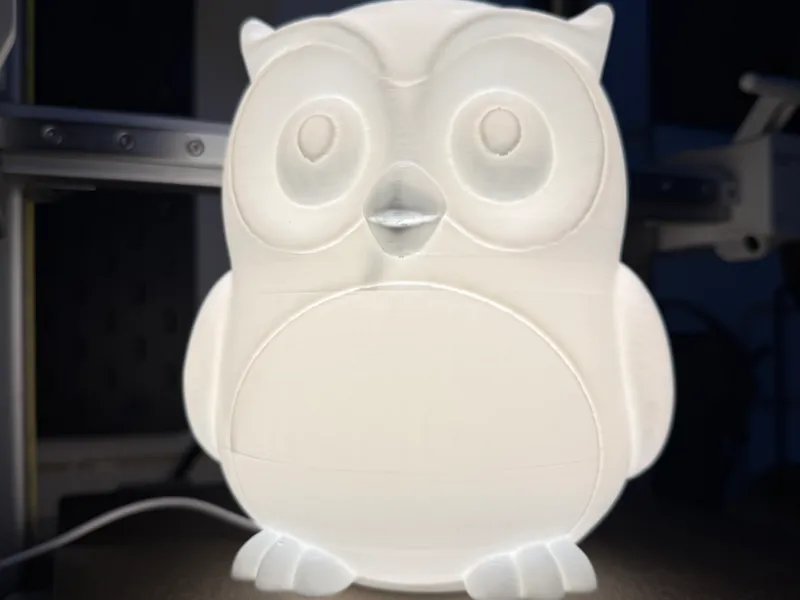 Eule Lampe Lamp Kit 001
