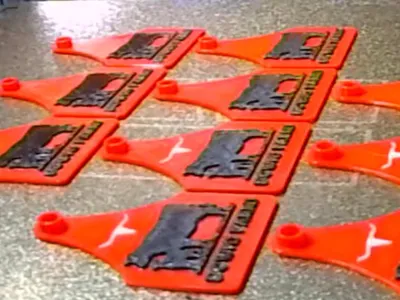 Cattle ear tags