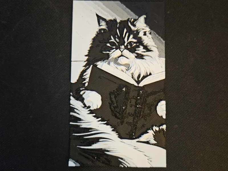 Cat reading book - Bookmark - HueForge