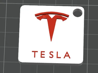 Tesla keychain Multicolor print