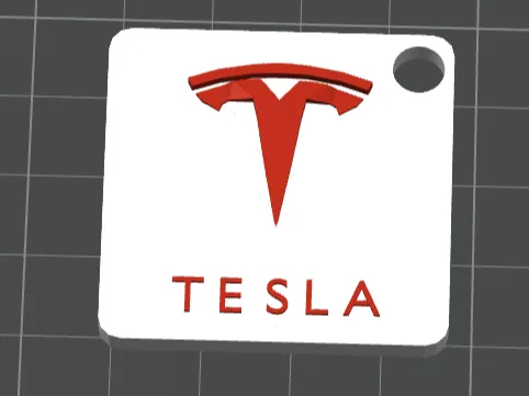 Tesla keychain Multicolor print