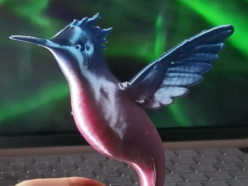 飞鱼鸟还是飞鸟鱼?