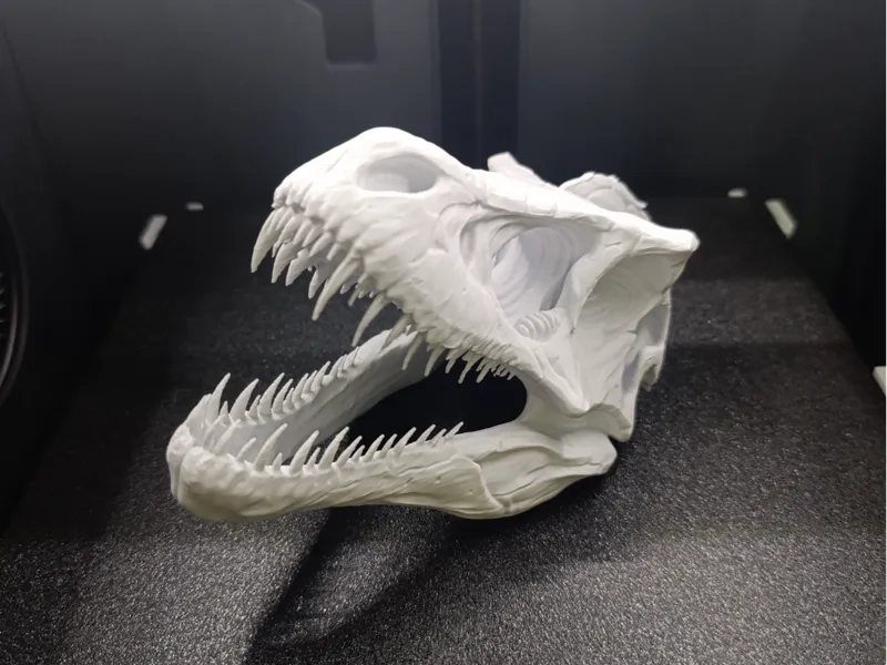 Indoraptor skull
