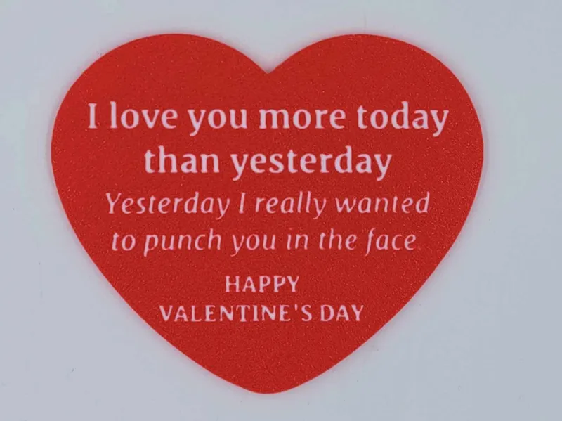 Valentine's Day Large Heart Magnet Funny Saying