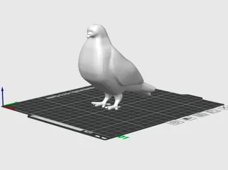 鸽子