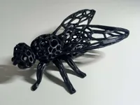 Mouche style voronoï — photo 2