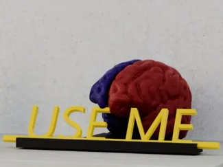 Brain Use Me - cervello usami