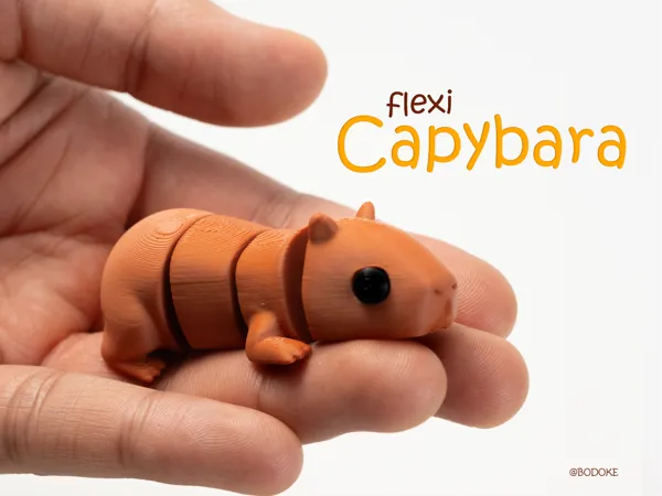 https://makerworld.bblmw.com/makerworld/model/US9437f67a56d47c/design/2025-11-27_218b9c5a943fa8.jpg