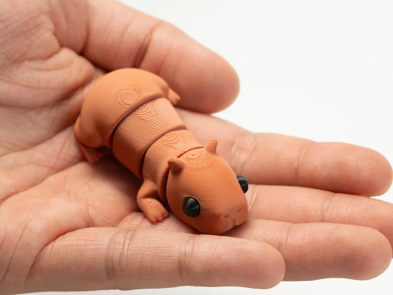 Flexi Capybara -Articulated view 3