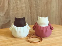Standard Version(Keychain Ready)