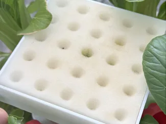 Anzuchtaufsatz für Hydroponic Tower