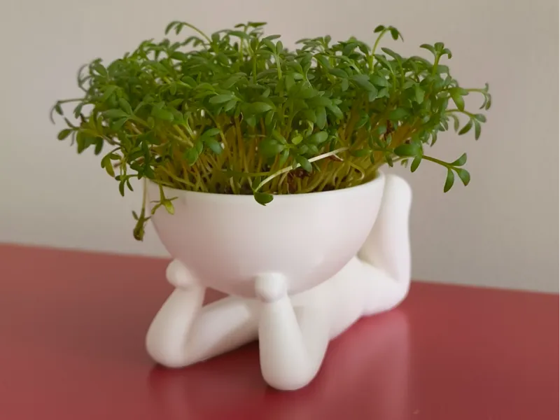 flower pot man 2